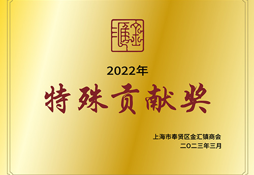 特殊孝顺奖